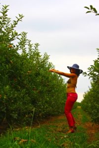 fashion photo art lutxana torroella de mongrí girona alpacas redondas gigantes ideas creativas street photo art lutxana barcelona