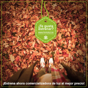 IDEAS CAMPAÑAS estrategia contenidos digitales FORTULUZ