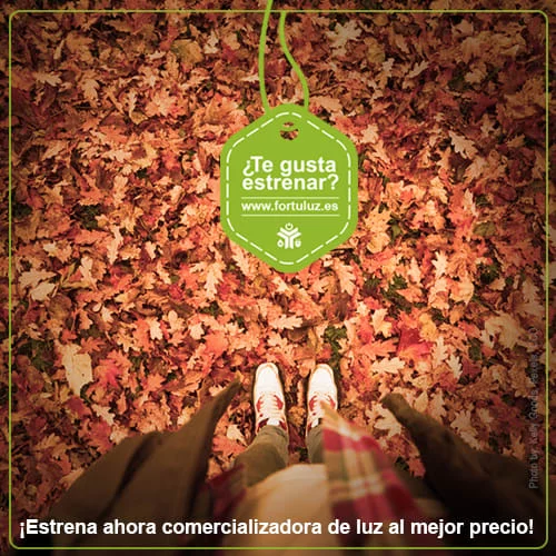 IDEAS CAMPAÑAS estrategia contenidos digitales FORTULUZ