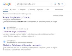Cómo saber si está indexada una web