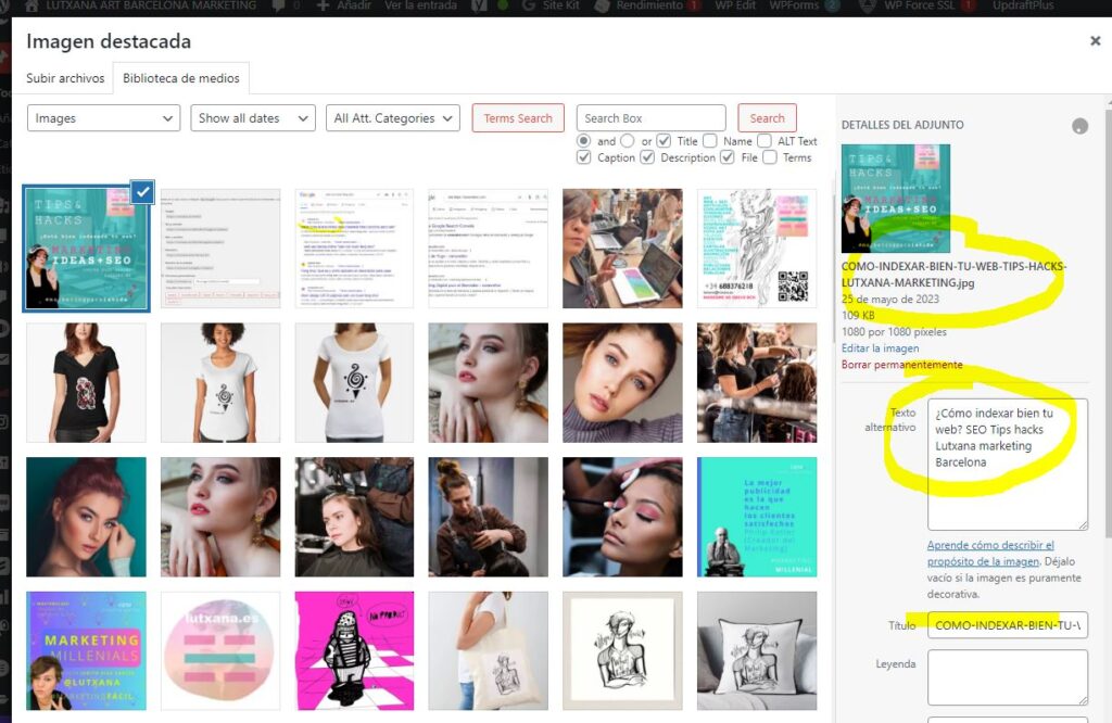 ¿Cómo indexar bien tu web? SEO Tips hacks Lutxana marketing Barcelona indexación imágenes 