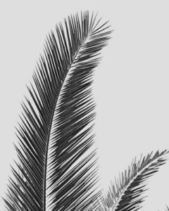 Tendencias Marketing Digital