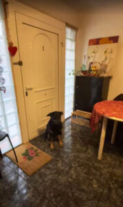 lutxana art estudio barcelona tienda online artesania ilustraciones pintura talleres creativos