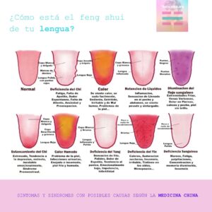 como está tu lengua feng shui medicina china